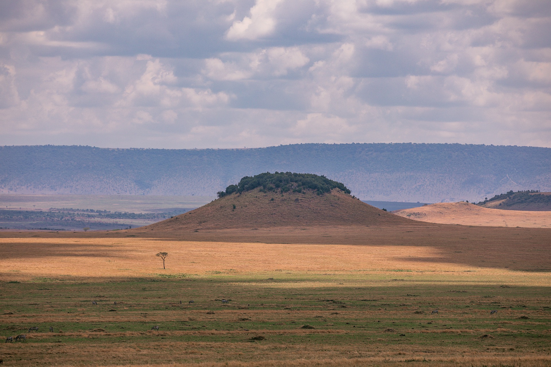 Factors to consider before buying land in Kajiado,Kenya