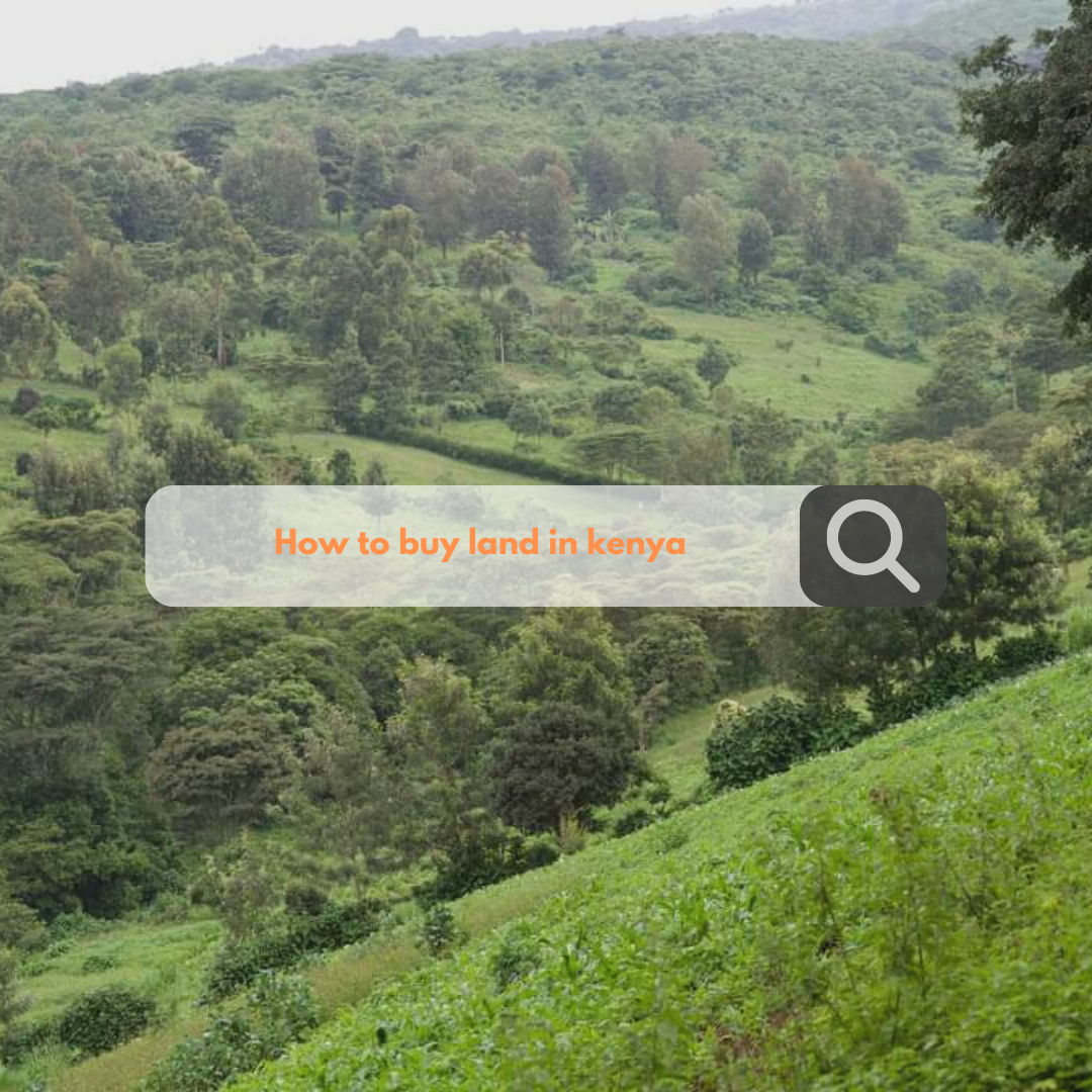 How to buy land in Kenya