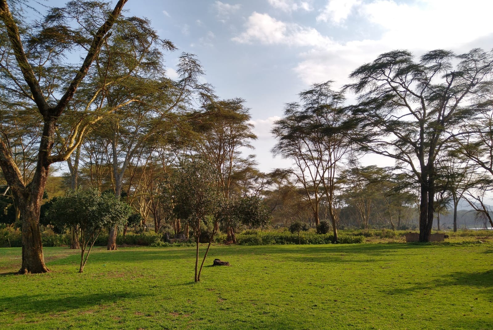 Where to buy cheap/affordable land in kenya-plots for sale in Kenya